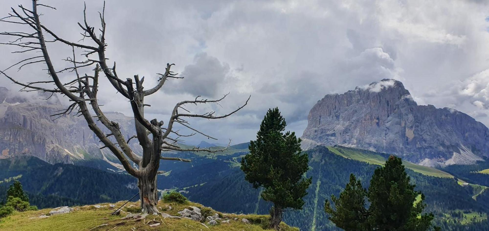 Garni Hotel Iris Selva di Val Gardena Zewnętrze zdjęcie