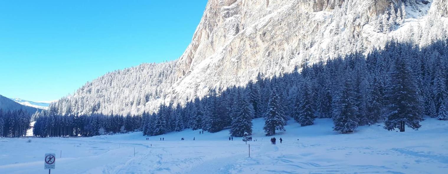 Garni Hotel Iris Selva di Val Gardena Zewnętrze zdjęcie