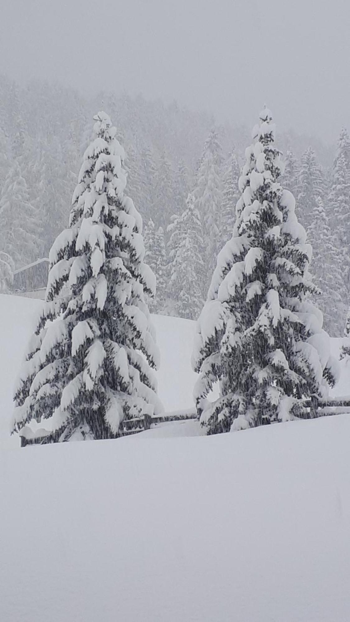 Garni Hotel Iris Selva di Val Gardena Zewnętrze zdjęcie