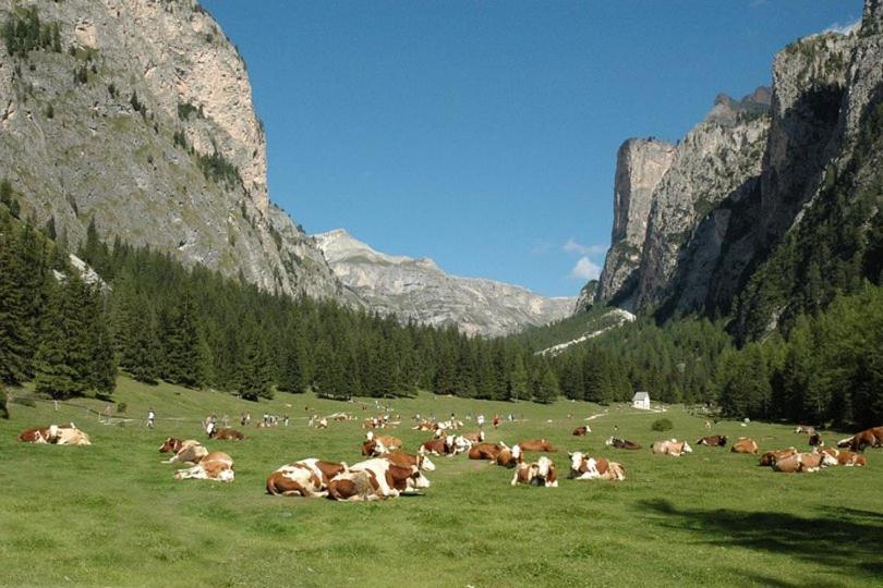 Garni Hotel Iris Selva di Val Gardena Zewnętrze zdjęcie